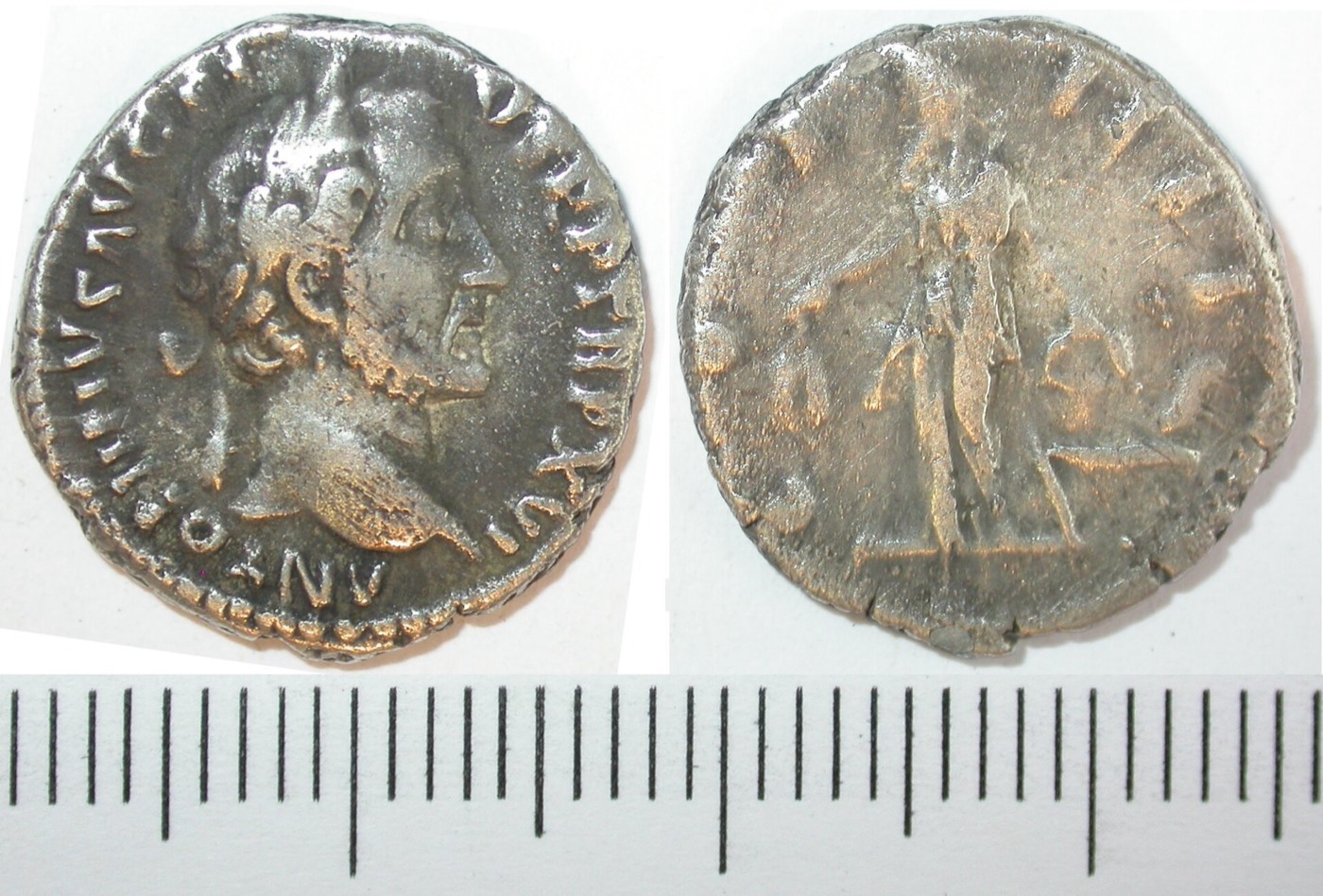 A Roman denarius whose reverse shows Annona, the personified grain supply, with ears of corn and a grain measure